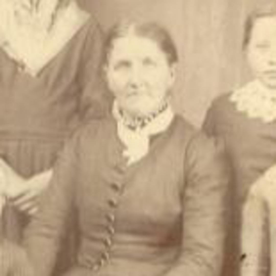 Sarah Ellen McFerson (1846 - 1912) Profile